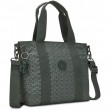 Сумка Kipling ASSENI MINI Sign Green Emb (F6C) KI3572_F6C