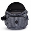 Рюкзак Kipling CITY PACK S Signature Print (DD2) KI4581_DD2