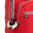 Рюкзак для ноутбука Kipling CLAS SEOUL Active Red Bl (17M) K12622_17M